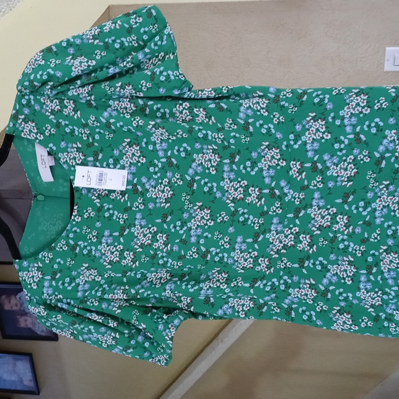 LOFT Green Dress w/Blue Floral Pattern Women's Size 2 NWT - Picture 2 of 5
